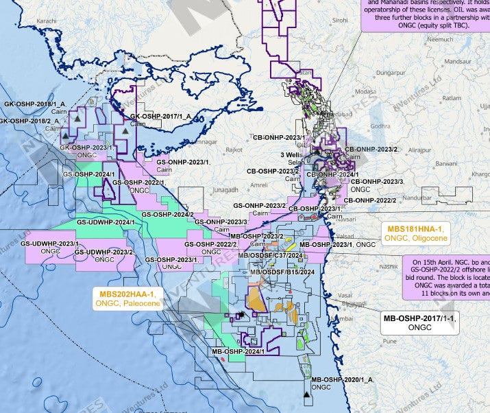 NVentures India Exploration Performance Map - H1 2025